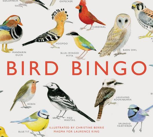 Bird Bingo (64 Species of Birds)