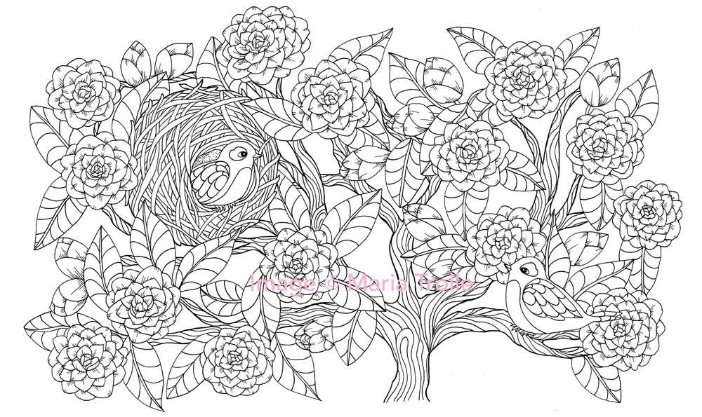 Mature Coloring Book; Twilight Garden