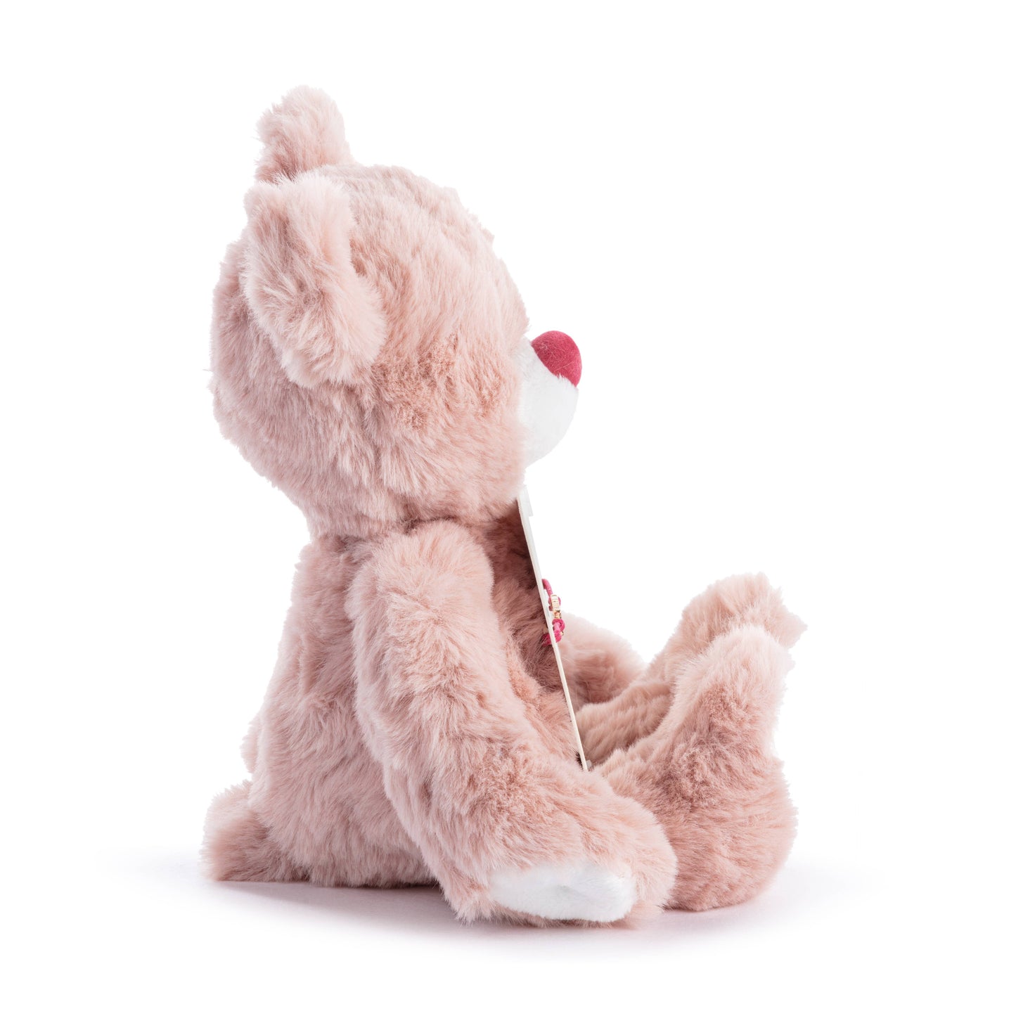Big Sister Bear & Bracelet (8in, Pink)