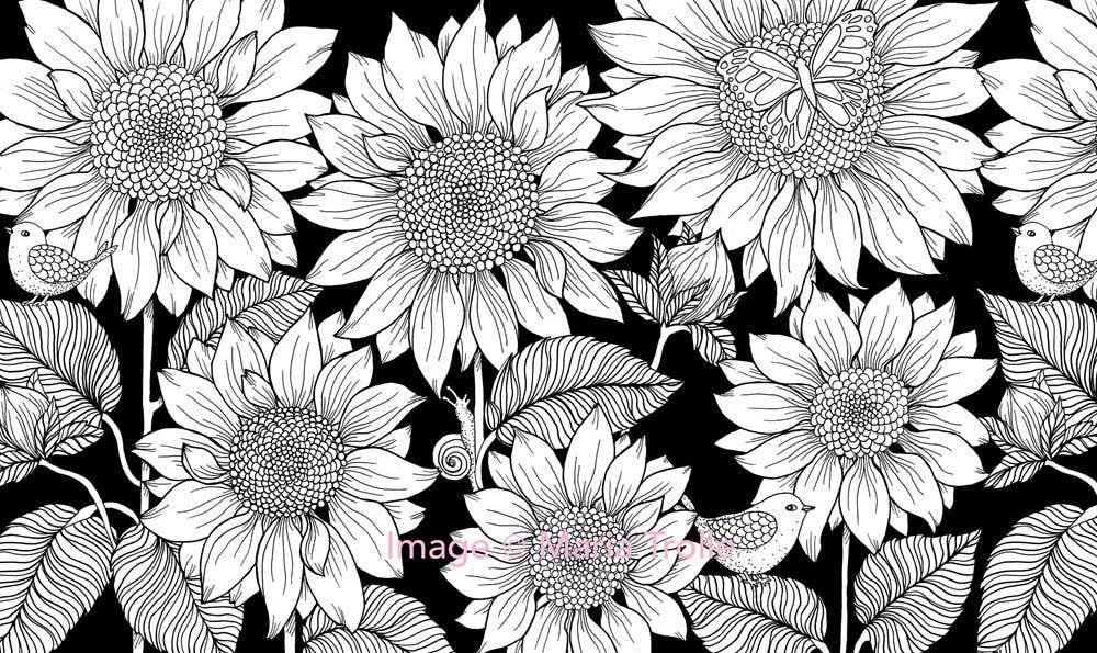 Mature Coloring Book; Twilight Garden
