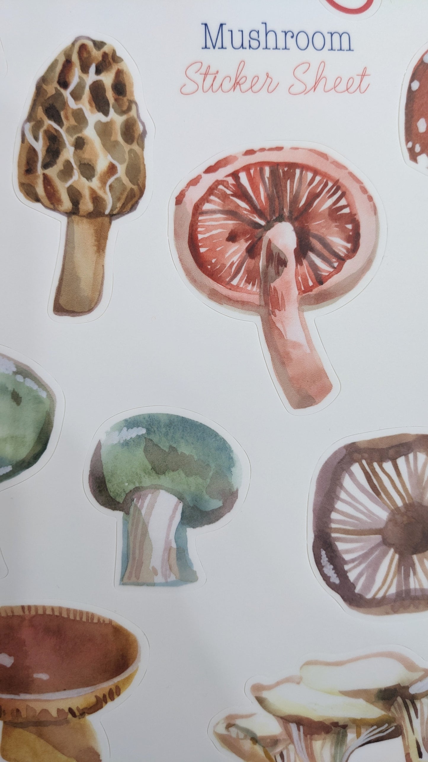 Sticker Sheet; Mushrooms - Made By Shellie