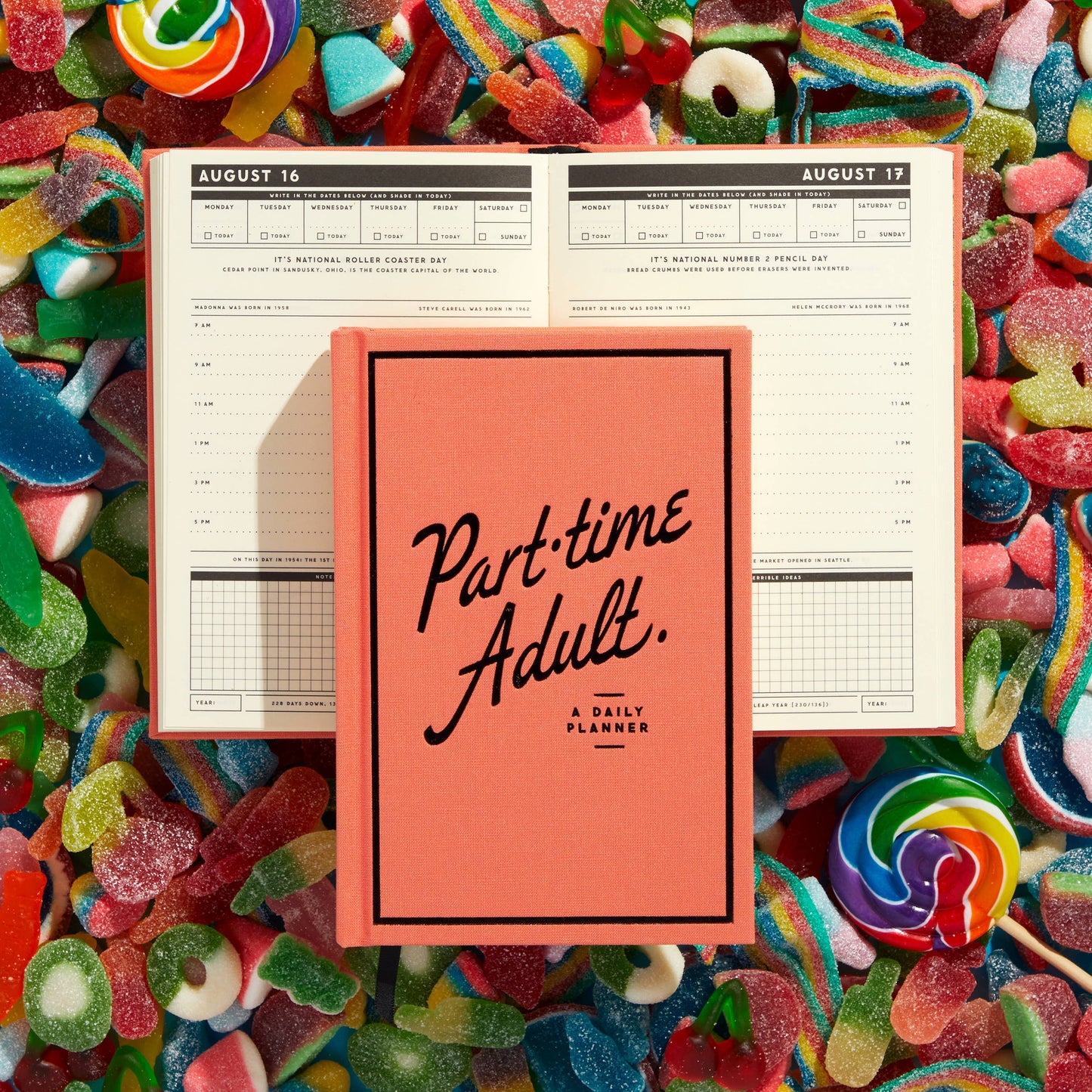 Undated Daily Planner; Part-Time Adult