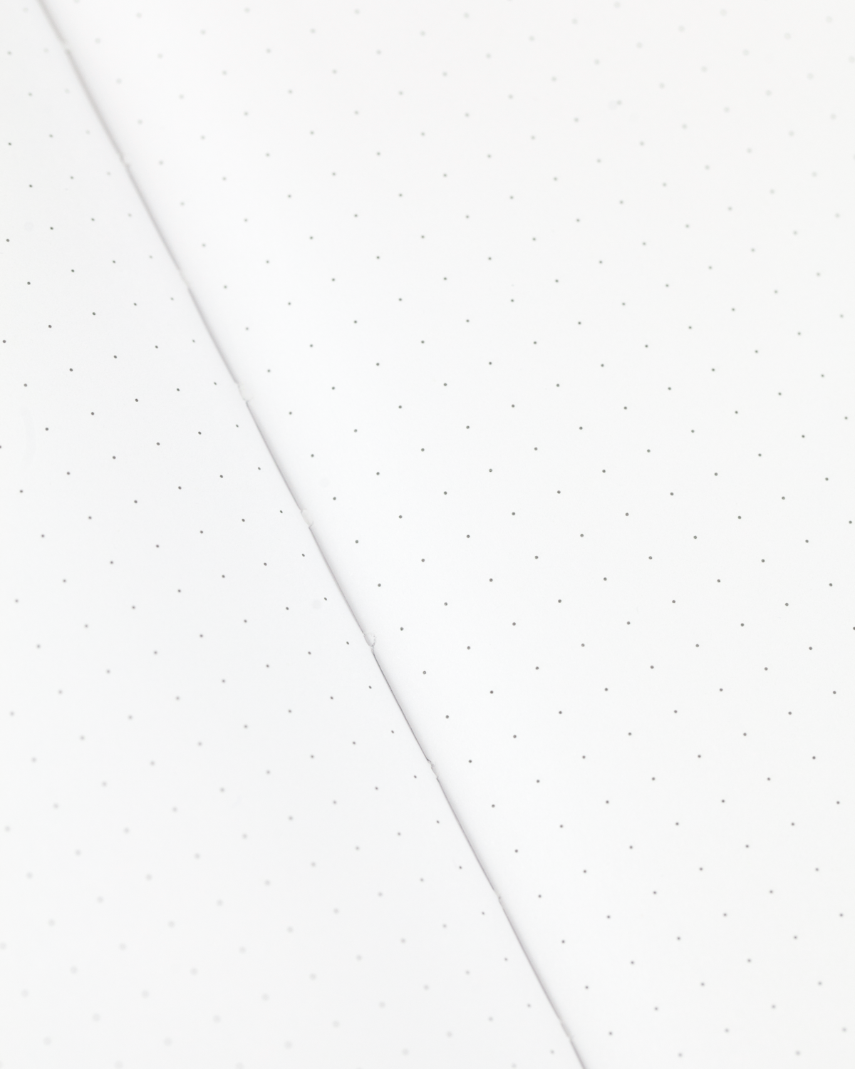 Notebook; Eggs (Dot Grid Page, Hardcover)
