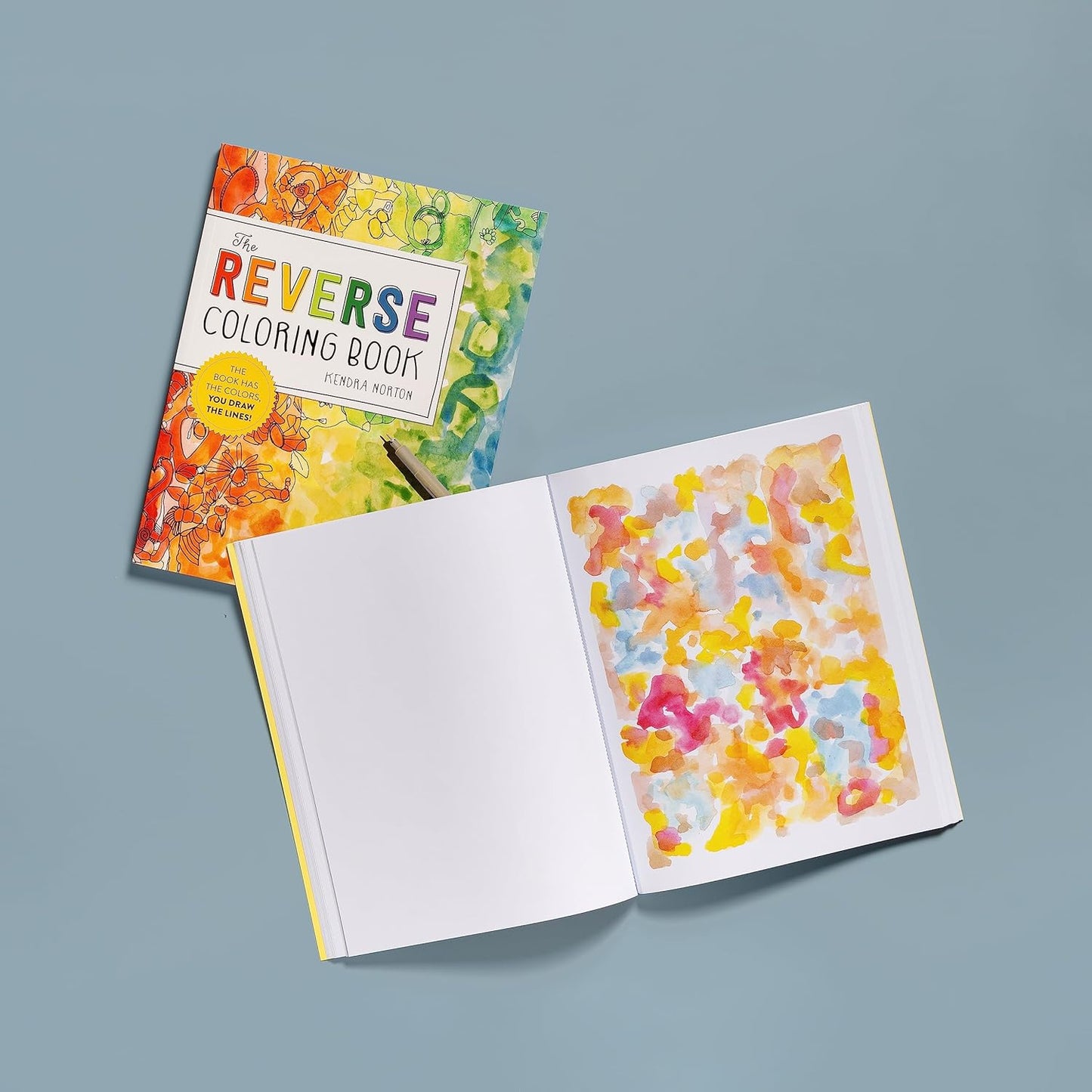The Reverse Coloring Book; The Book Has the Colors, You Draw the Lines!