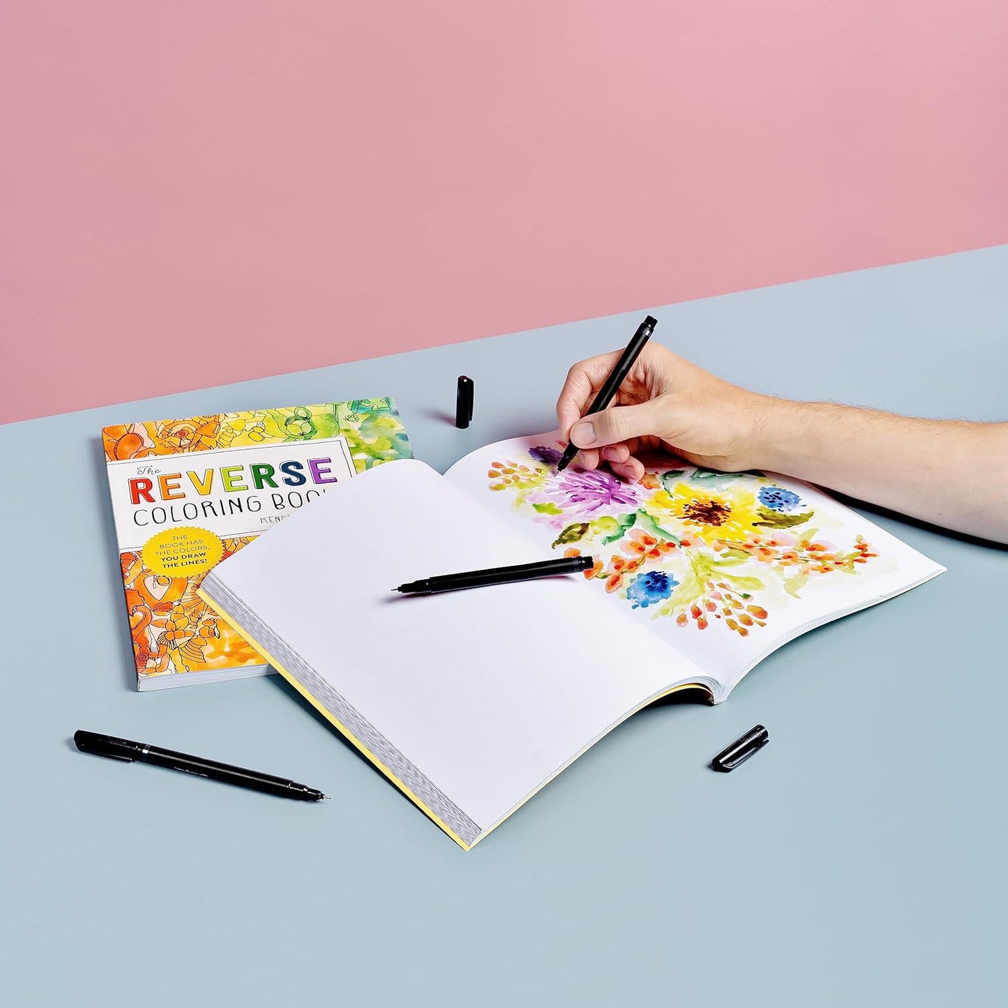 The Reverse Coloring Book; The Book Has the Colors, You Draw the Lines!