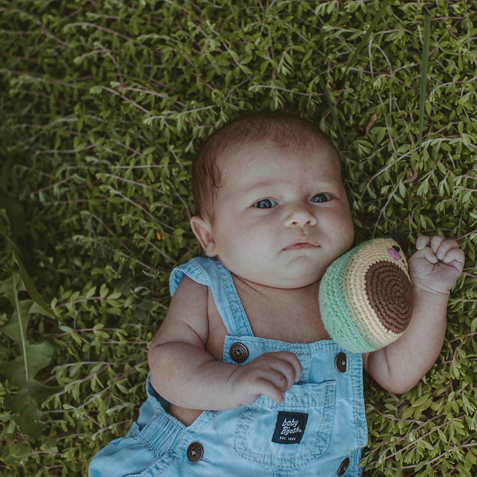 Crochet Rattle; Friendly Avocado (Handmade Plush Toy)