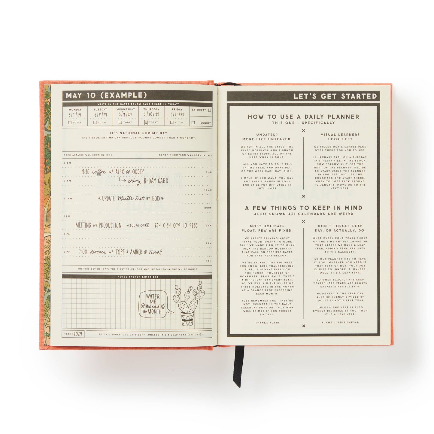 Undated Daily Planner; Part-Time Adult