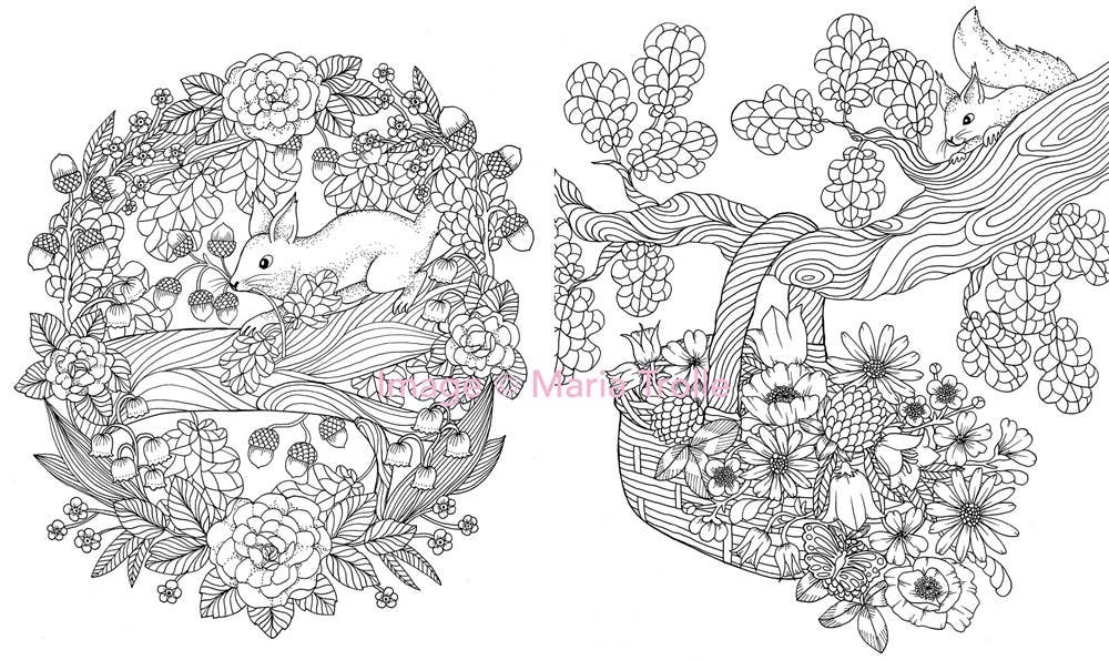 Mature Coloring Book; Twilight Garden