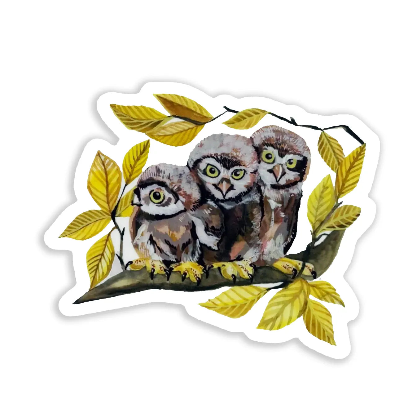 Vinyl Sticker; Owl Trio - Made by Shellie