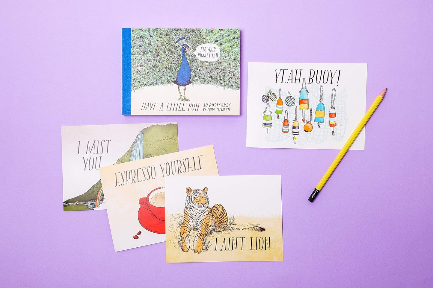 Postcard Book; Have A Little Pun (30 Illustrated Postcards)