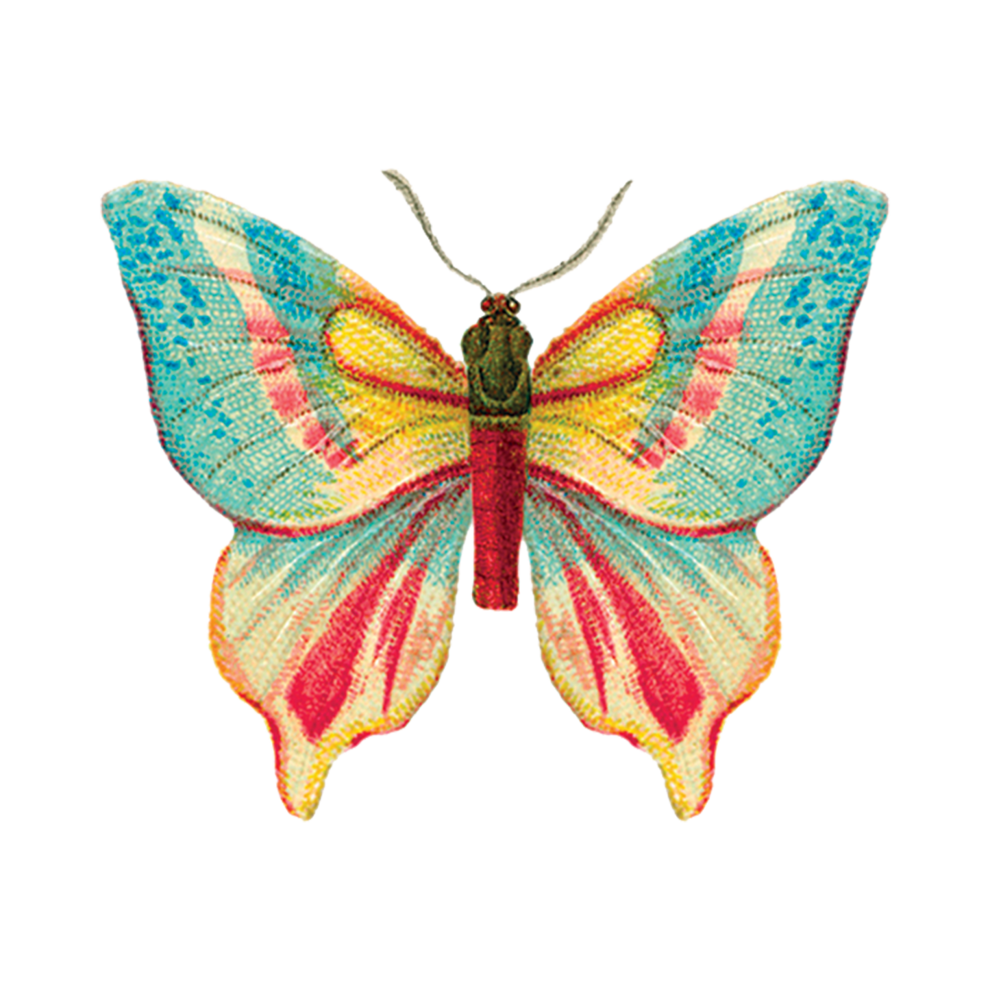 Temporary Tattoo Pack; Colorful Butterfly