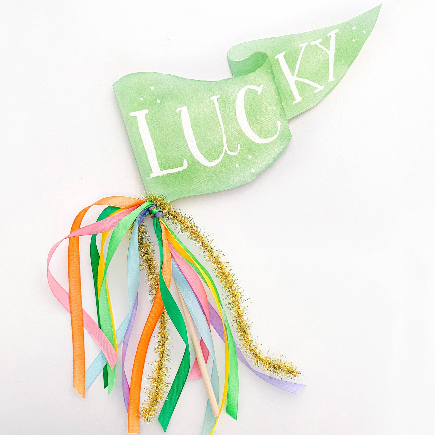 Party Pennant; Lucky St. Patrick's Day (Green)