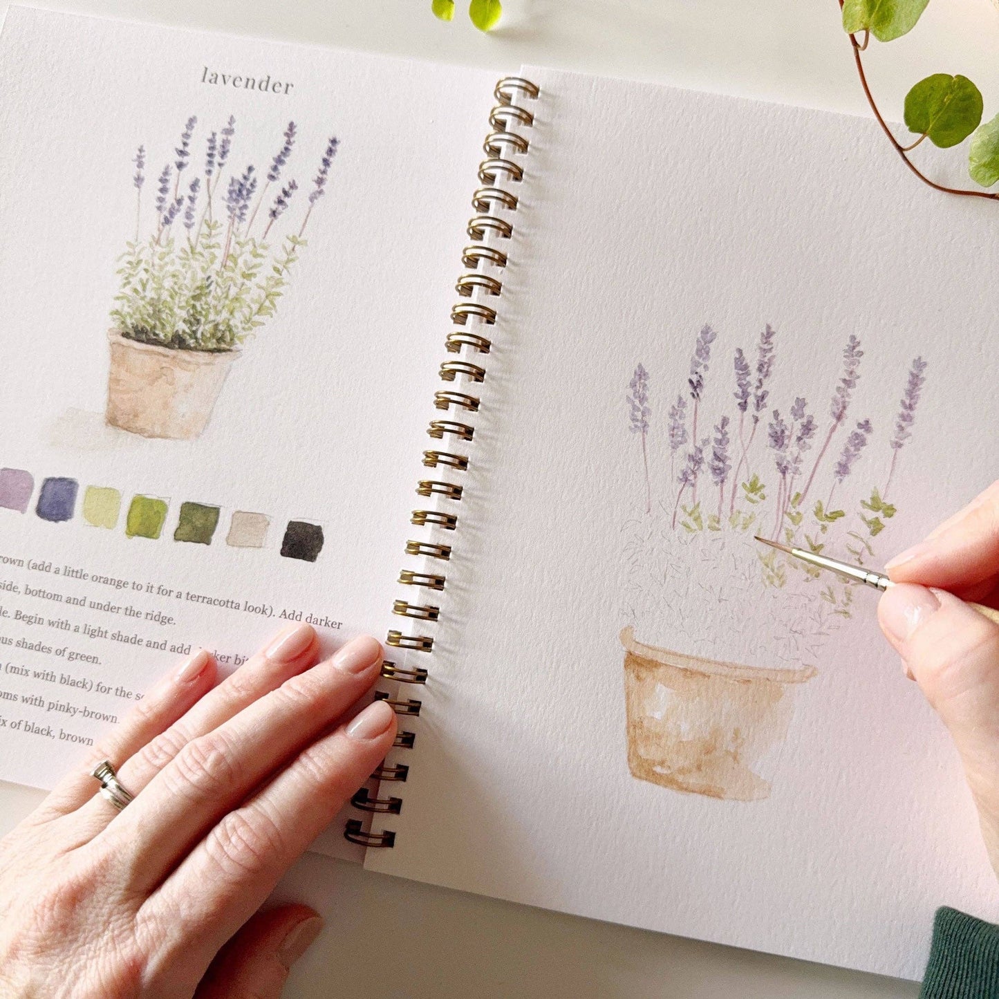 Watercolor Workbook; Garden By Emily Lex