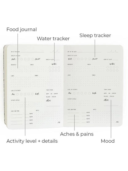 Wellness Guided Journal (Green) By 1canoe2 | One Canoe Two Paper Co.