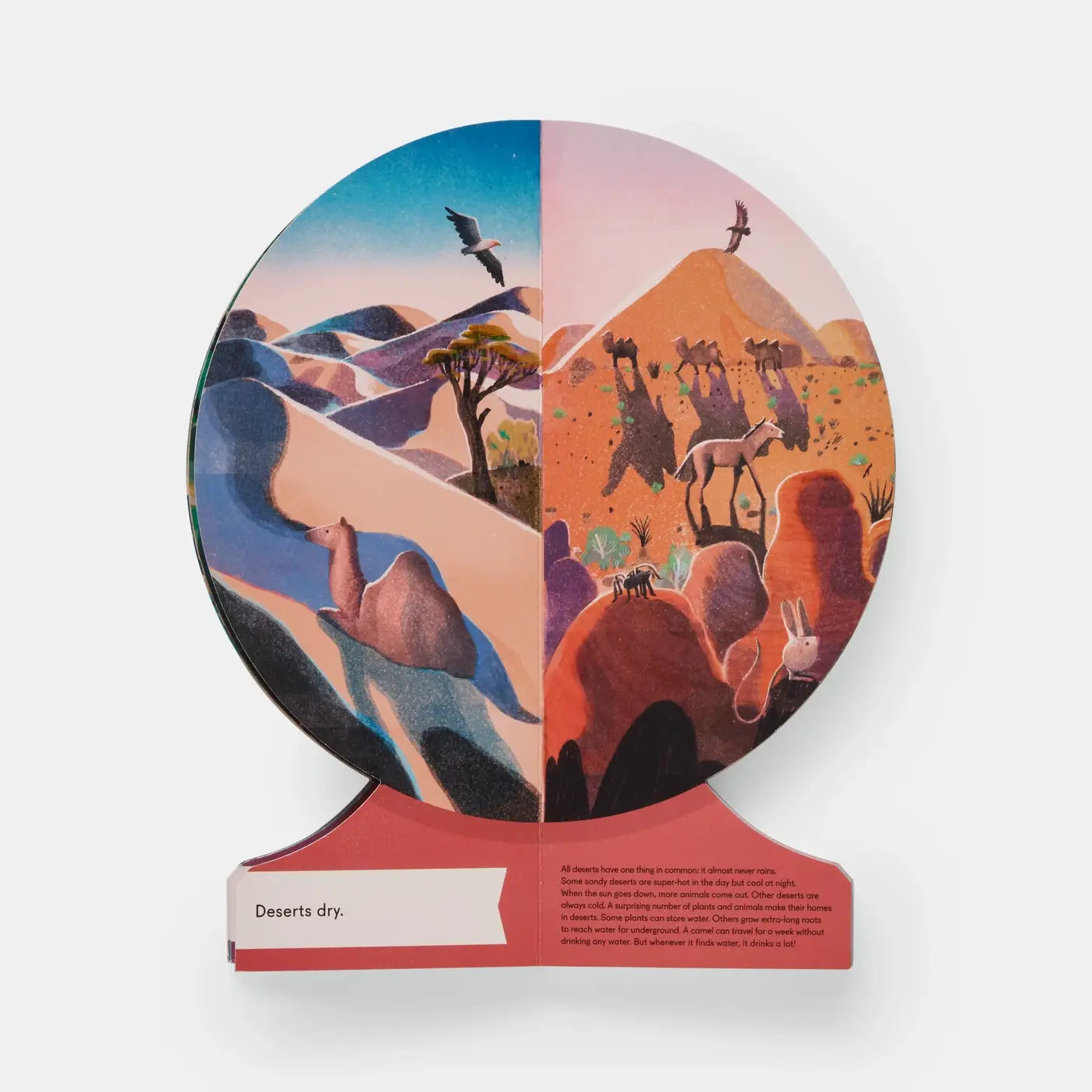 Board Book: Our World: A First Book Of Geography (2020)
