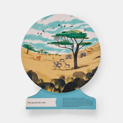 Board Book: Our World: A First Book Of Geography (2020)
