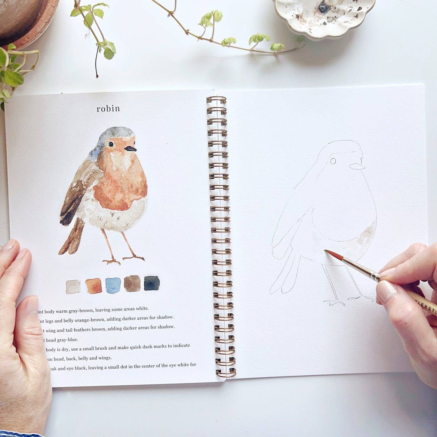 Watercolor Workbook; Birds By Emily Lex Studio