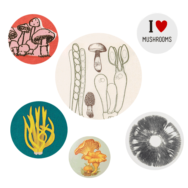 Pinback Button Pack; Mushrooms (Six Buttons)