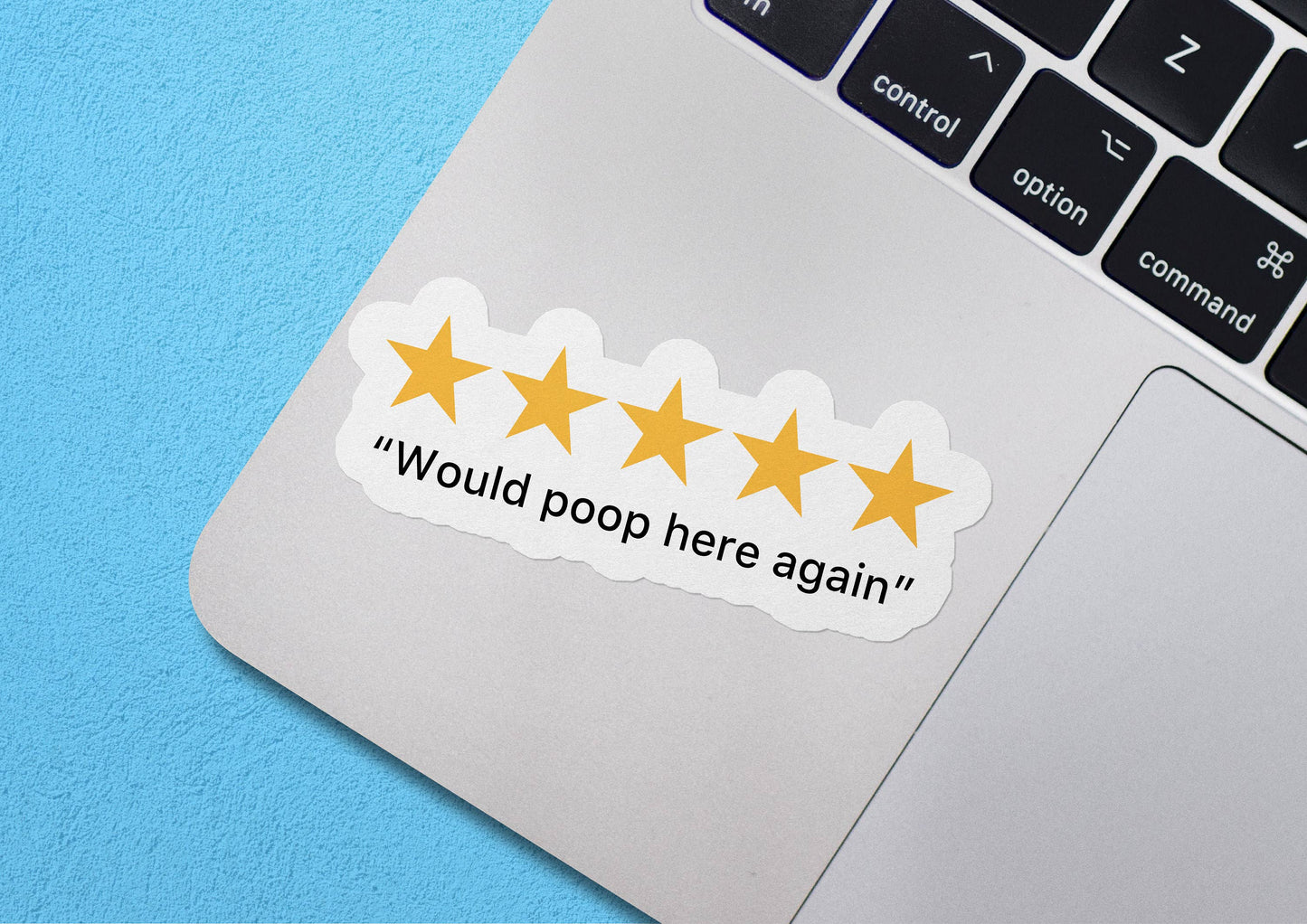 Vinyl Sticker; 5 Stars (Funny)