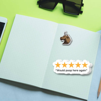 Vinyl Sticker; 5 Stars (Funny)