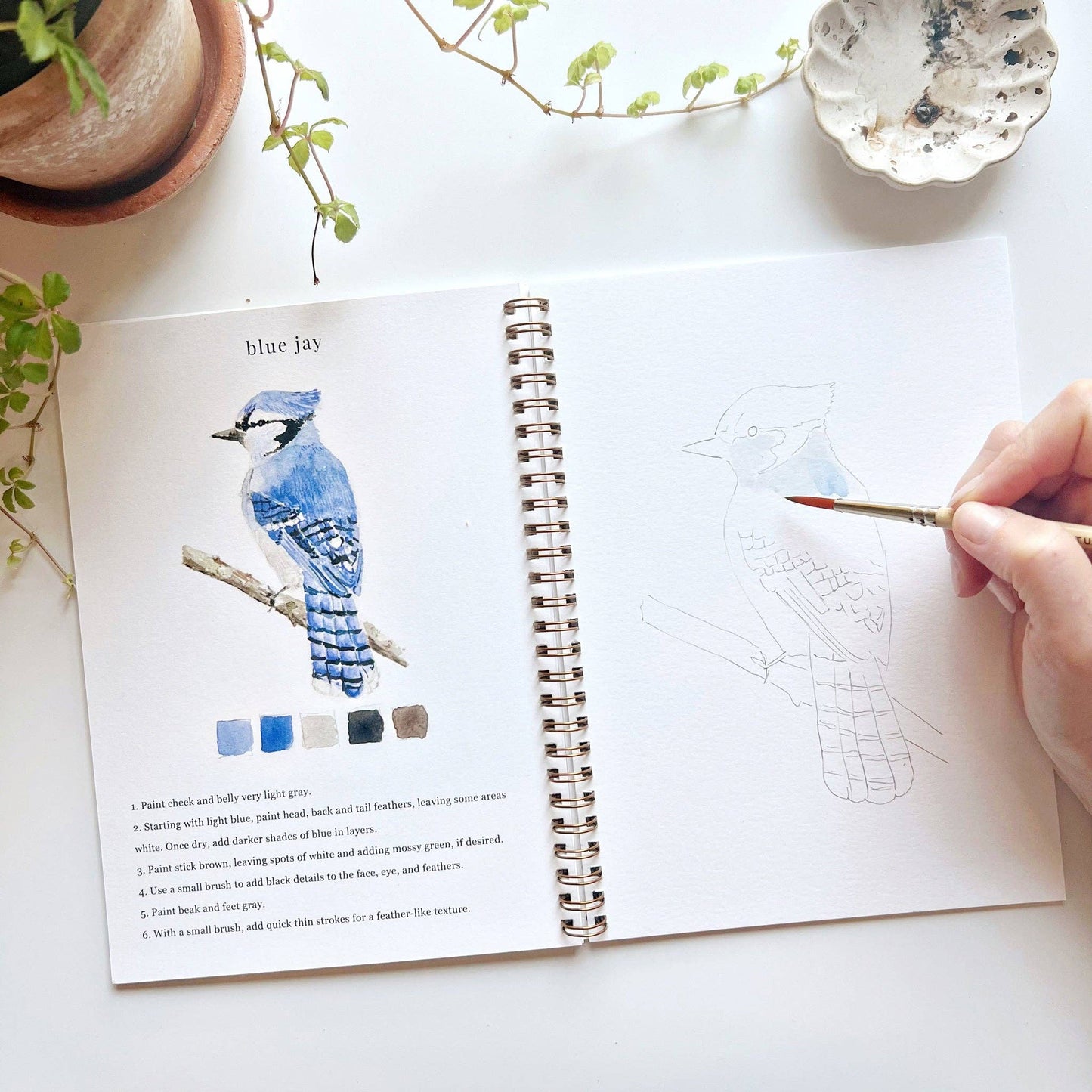 Watercolor Workbook; Birds By Emily Lex Studio