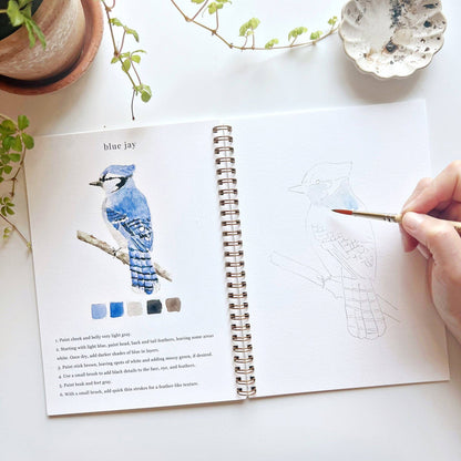 Watercolor Workbook; Birds By Emily Lex Studio
