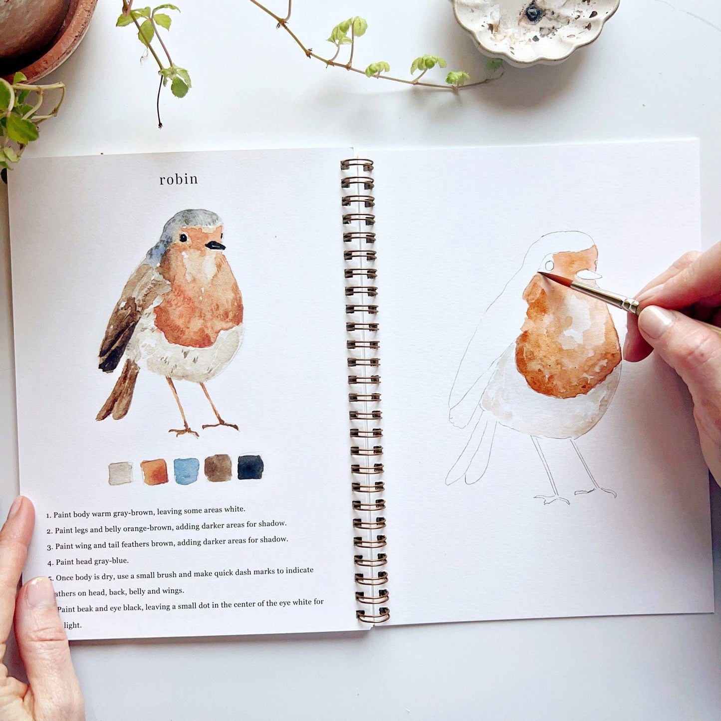Watercolor Workbook; Birds By Emily Lex Studio