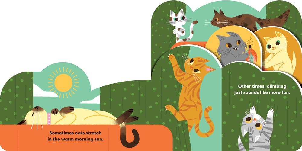 Board Book; Some Cats