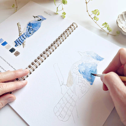 Watercolor Workbook; Birds By Emily Lex Studio