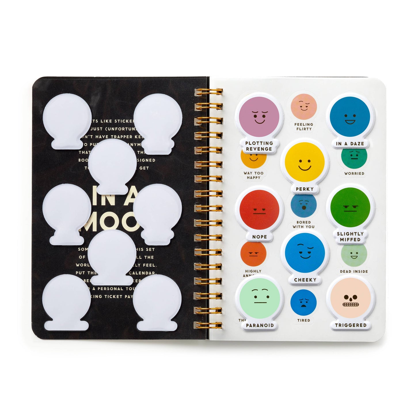 Sticker Book; In A Mood (280+ Stickers)
