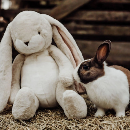 Stuffed Animal; Big Nibble (Cream)