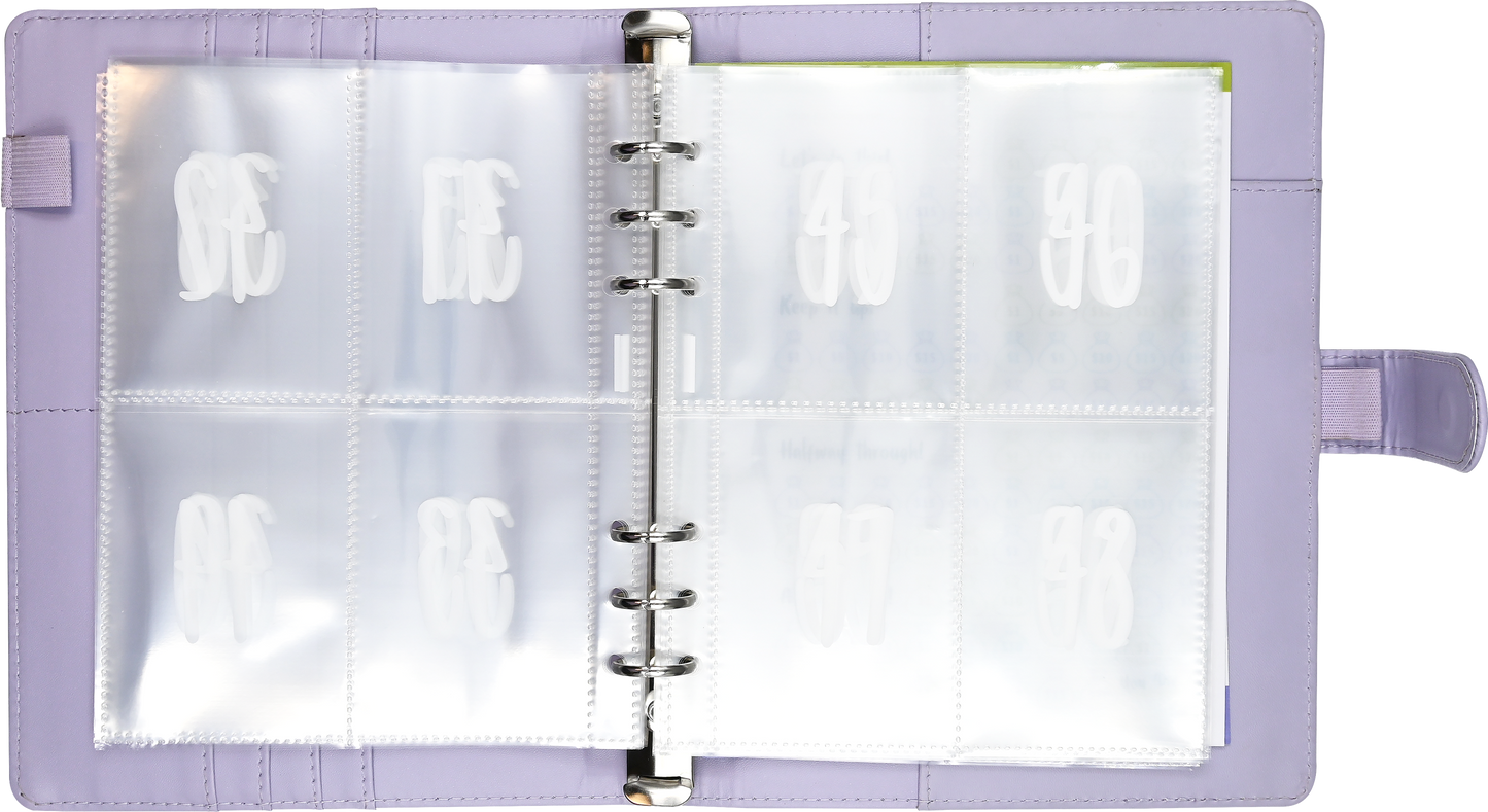 My 100 Envelope Savings Challenge Binder