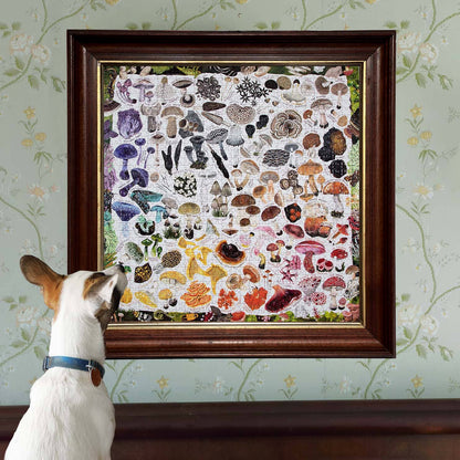 Eeboo Jigsaw Puzzle (1000 Piece Square); Mushroom Rainbow