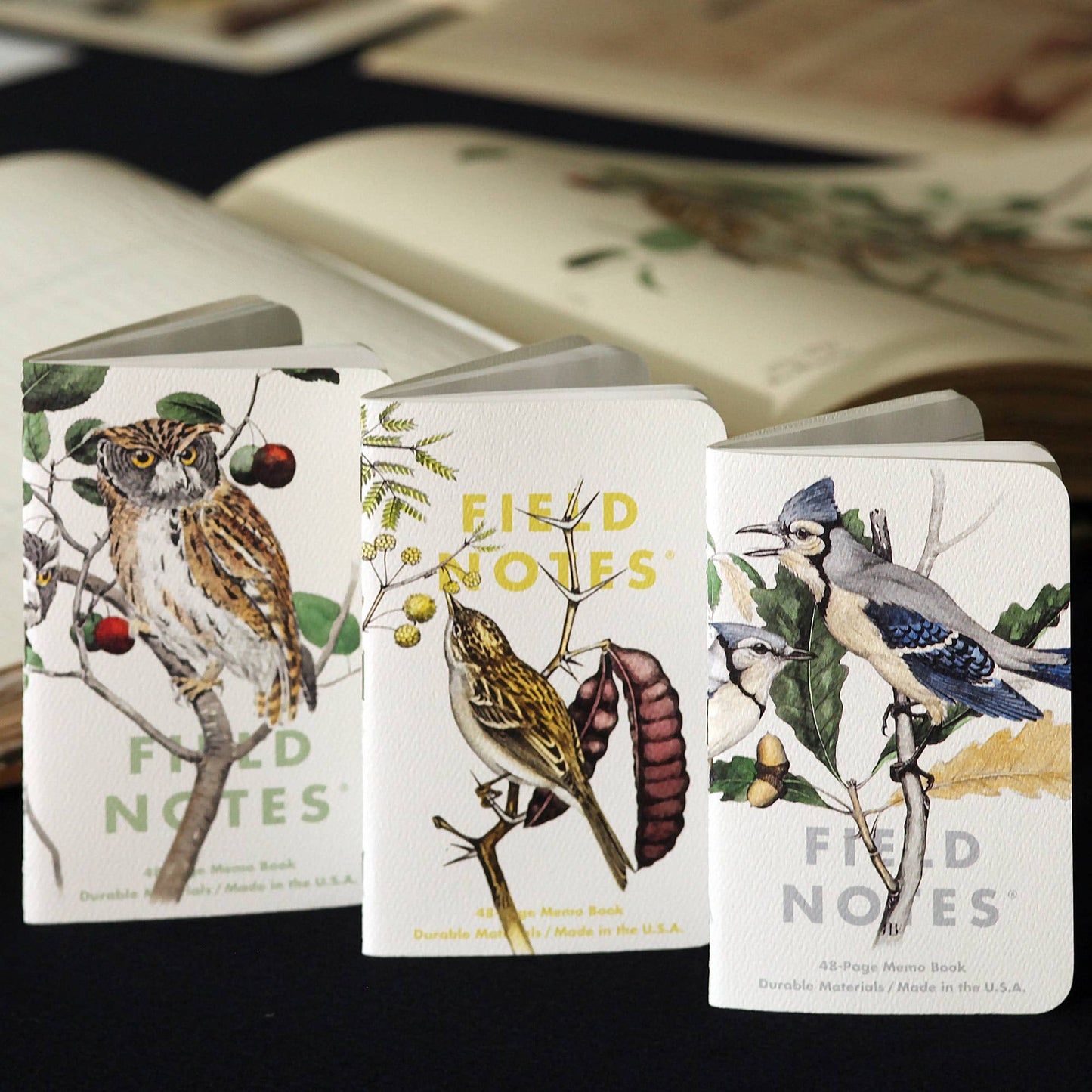 Field Notes; Birds and Trees of North America (Pack C: Redstart - Cardinal - Redshoulder Hawk)