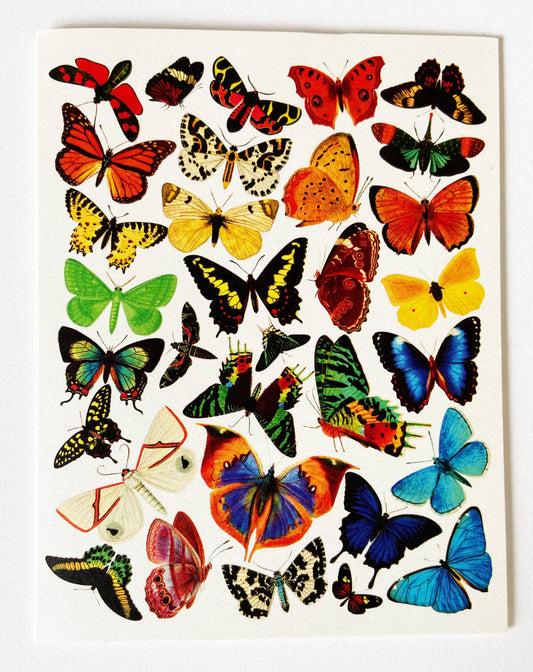 Boxed Card Set; Rainbow Butterfly (8 Cards + Envelopes)