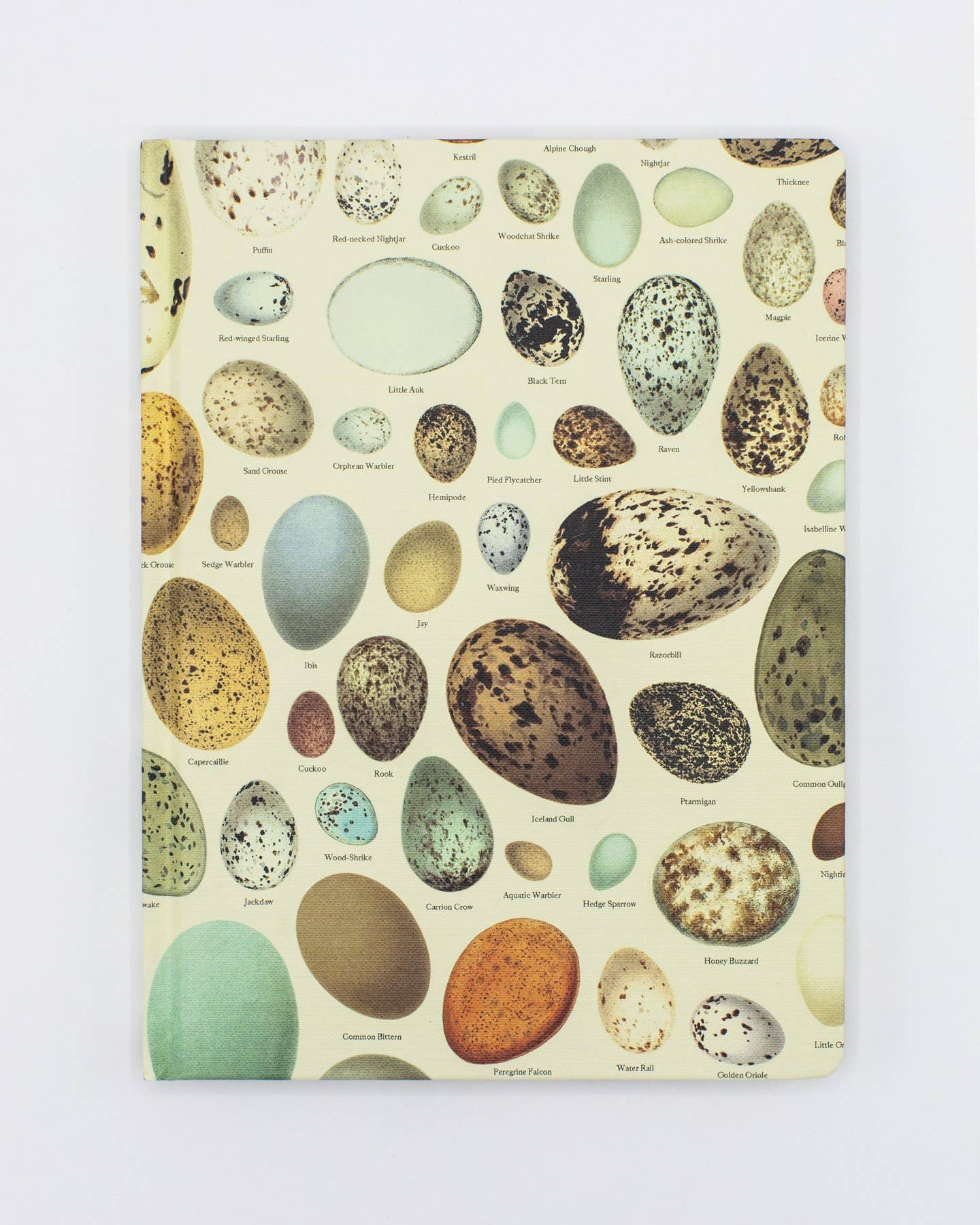 Notebook; Eggs (Dot Grid Page, Hardcover)