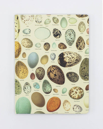 Notebook; Eggs (Dot Grid Page, Hardcover)