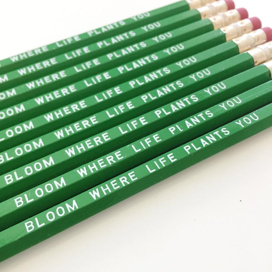 Single Pencils; Bloom Where Life Plants You