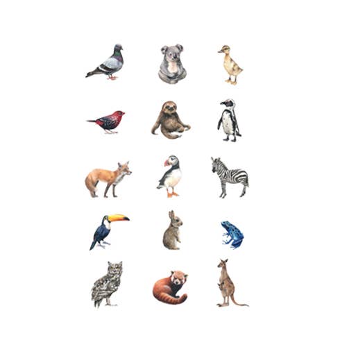 Temporary Tattoo Pack; Mini Animal Kingdom