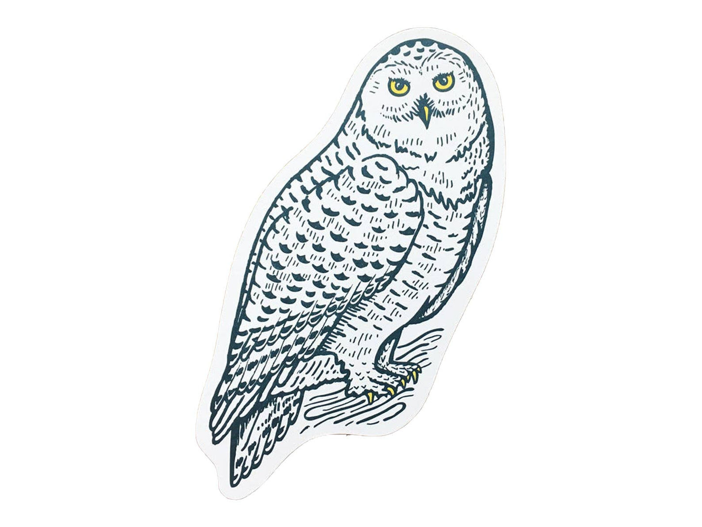 Postcard; Snowy Owl By Noteworthy Paper & Press