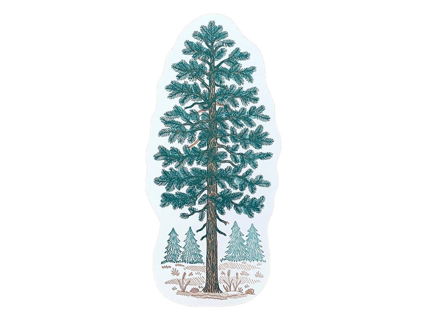 Postcard; Pine Tree By Noteworthy Paper & Press